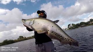 Big Exotic CLOWN KNIFE Fish | Monster Mike Fishing