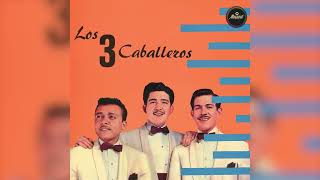 Los Tres Caballeros - Tu Condena (Visualizador Oficial)