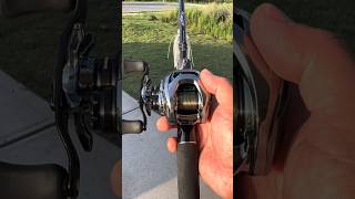 Daiwa Steez Machine Gun Type II paired w/ Daiwa Steez SV TW Limited #daiwa #daiwareels #daiwafishing