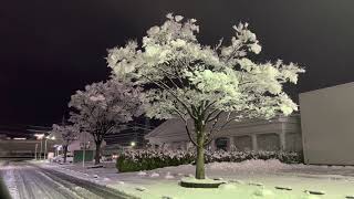 13日夜の雪