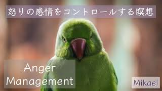 【アンガーマネジメント瞑想】怒りの炎を焼き尽くす #アンガーコントロール #アンガーマネジメント #マインドフルネス