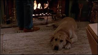 Funny Farm - Yellow Dog - Fireplace Scene