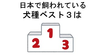 【雑学学園】犬の雑学