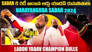 All India Champion Bulls Ready For Laddu Yadav Sadar 2024| Narayanguda Sadar 2024 |laddu Yadav Sadar