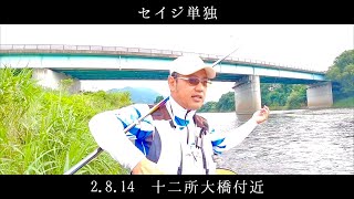 [鮎釣り]セイジ単独釣り　米代川（十二所大橋）　2020 ＃TEAM渡正 vol.7　2.8.14