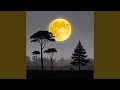 Under the Mango Moon