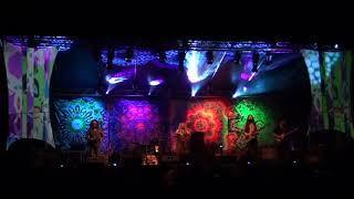 Haley Jane and The Primates 5-27-18 @ Sterling Stage's Folkfest 2018