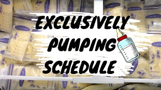 Exclusively Pumping Schedule🍼When to Start Pumping and how to wean off Pumping 🤱🏻