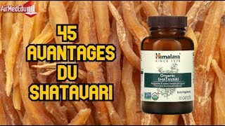 45 avantages du Shatavari