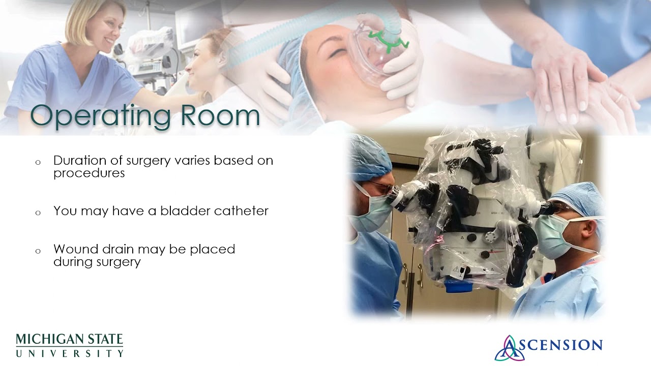 Spine Class Part 2 Youtube