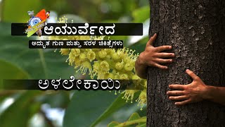 Benefits Of Chebulic Myrobalan  | Alalekayi| Ayurveda Treatments | Kannada Video | Namma Bharatha