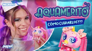 Cómo cuidar a tu AQUAMERITO??? - Enfermera Tania - Distroller