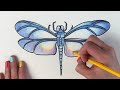 the only dragonfly tutorial you ll ever need