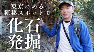 【極秘】東京山側の「秘密の場所」で化石発掘！子供達に大人気のプログラムをご紹介！