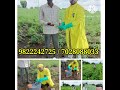 subscribe happy farmer मावा तुडतुडा फुलकिडा गुलाबी बोंडअळी यावरील फवारणी उपाय source farmer