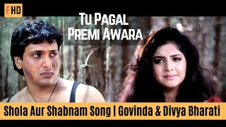 Tu Pagal Premi Awara | Govinda & Divya Bharati | Shola Aur Shabnam