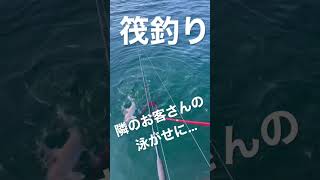 筏釣り！隣のお客さんの泳がせに…