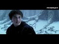 harry potter la nostra classifica dei film della saga dal peggiore al migliore