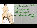 elephantiasis dengue ringworm human health and disease neet