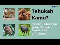 Tahukah Kamu Hewan Indonesia yang Hampir Punah dan Dilindungi di Indonesia?