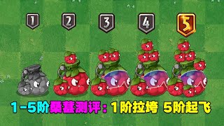 1-5阶桑葚测评：1阶拉垮，5阶起飞！【庄先森解说】