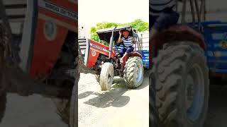 Massey 5900 TAFE DI STUNT