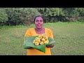 பிள்ளைகளுடன் மலைநேர சுவையான சிற்றுண்டி our village lifestays vanni vlog