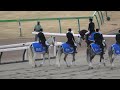 【フェブラリーステークス2025】本馬場入場 現地映像 コスタノヴァ