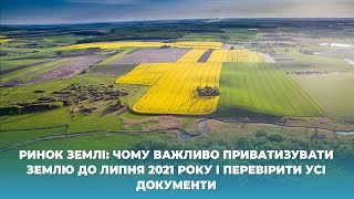 Ринок землі: чому важливо приватизувати землю до липня 2021 року і перевірити усі документи