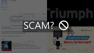 triumphfx review  why shouldnt you invest in trading with this broker