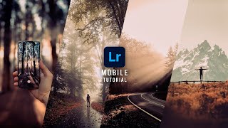 Lightroom mobile tutorials | Warm Moody tone