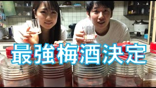 【梅酒づくり】6種類のお酒で飲み比べ！梅酒に1番合うお酒決定！