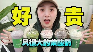 誰會花30塊錢買一杯酸奶啊？風很大的“茉酸奶”真的好喝嗎？【小食神叨叨】