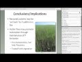 SFE Webinar: Setting Back the Clock: the Role of Fire Biogeochemistry in Restoration of Wetlands