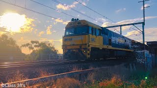 Pacific National NR Locomotives 2,84 \u0026 4 Passes Trough Meadowbank Bridge