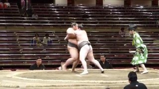 Hisanotora (5-1) - Aiyama (6-0), Sumo : Natsubasho '15