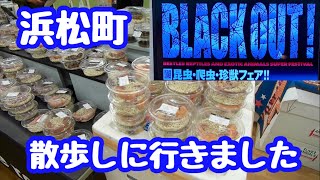 【レオパ】✨BLACK OUT✨ 浜松町　散歩して来ました🙋‍♂️