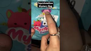 More Squishmallow Mystery Bag Unboxings | #squishmallows #unboxing #toy