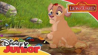 The Lion Guard - On Safari with Grubs