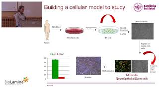 Neural stem cells in health and disease