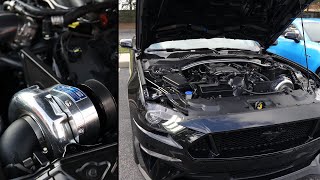 INSANE ROLLING PULLS IN A 700 WHP PROCHARGED, 10 SPEED MUSTANG GT (GEN 3 COYOTE) #BOOSTED #FORD