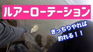 【八郎潟バス釣り】ルアーローテーション大事！！っぽい。