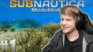 Subnautica Modokkal! 🐟 - IceBlueBird Stream Montage #1