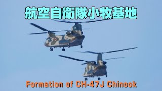 【4K】航空自衛隊小牧基地　Formation of CH-47J Chinook