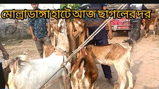 মোল্লাডাঙ্গা হাটে ছাগলের দর। তাং ০৫/০২/২৫ বুধবার।