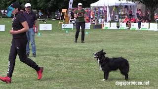 Qualifications – Renate Tribus + Absinth’s Catch me if you can / Border Collie – SWITZERLAND