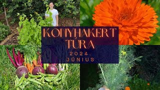 Konyhakerttúra | Június 2024.