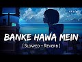 Banke Hawa Mein Bezubaan Mein (Slowed + Reverb) | Altamash Faridi | Rooh E Daari | SR Lofi