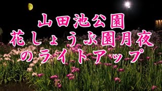 山田池公園花しょうぶ園月夜のライトアップ2022　枚方市大阪府