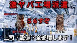 【猫ミーム】工場派遣の日常【破壊編】